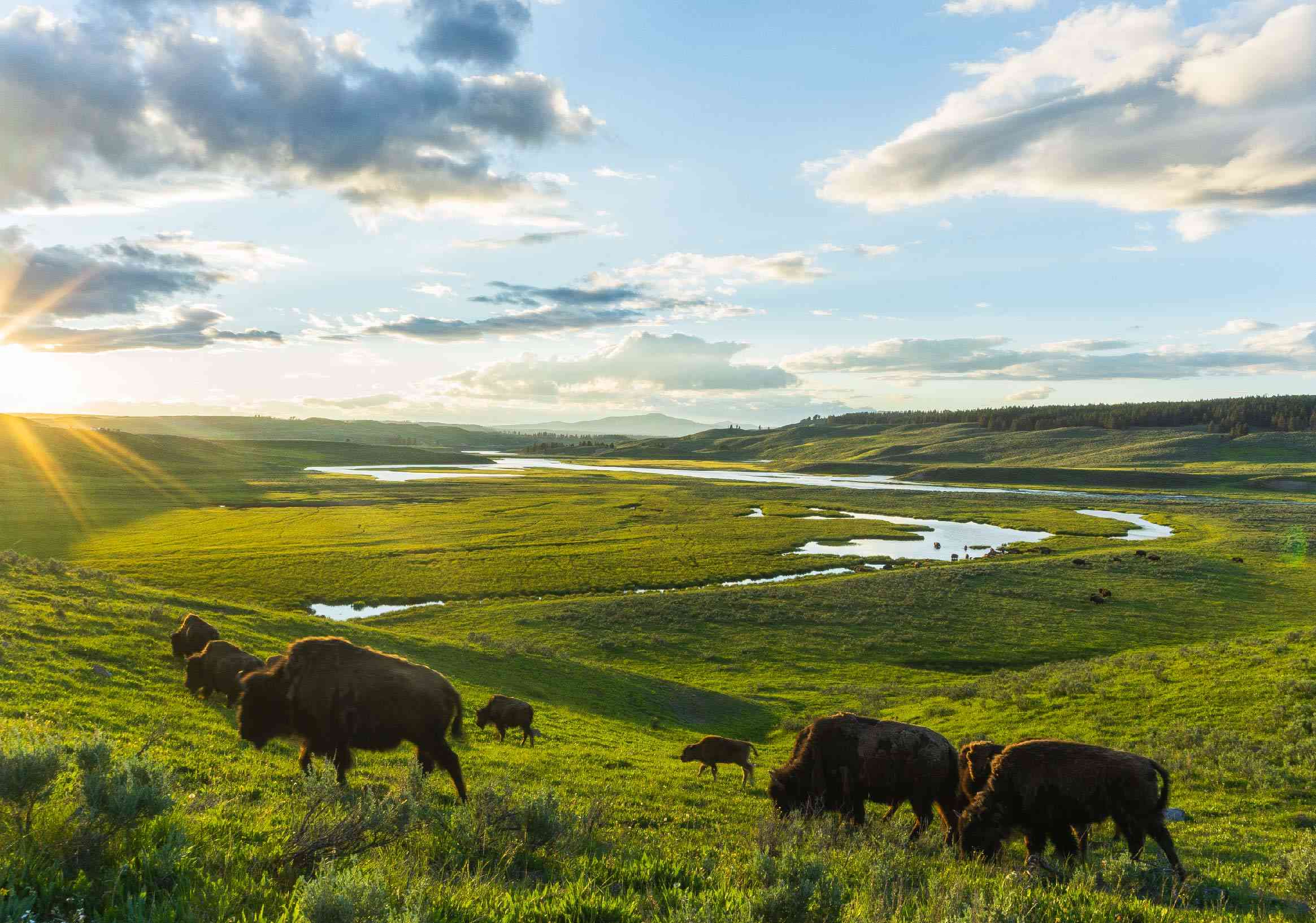 Why Rangelands Matter?